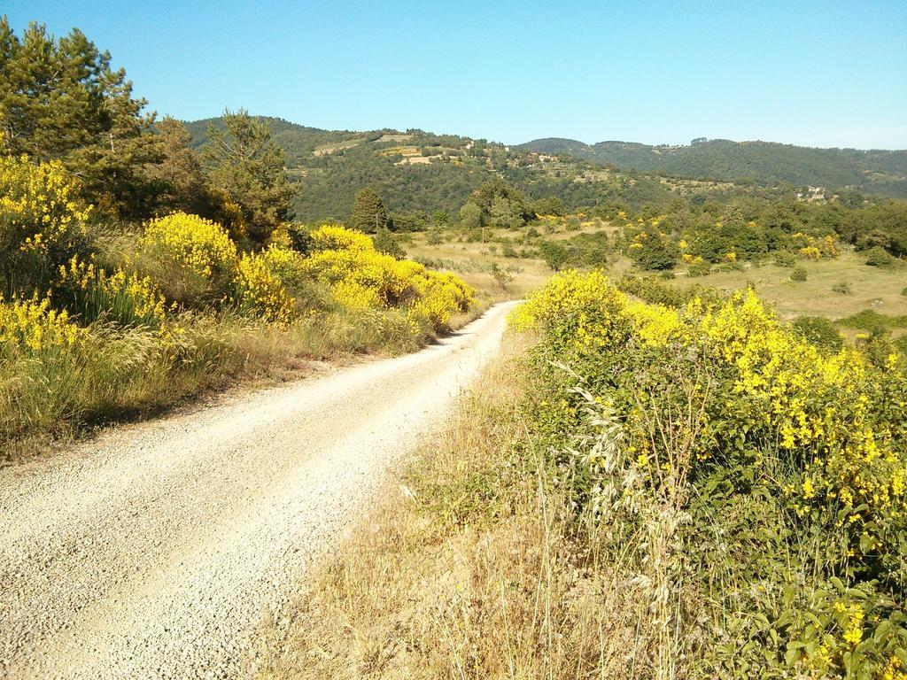 Forte Di Tregognano Chiaveretto Rom bilde